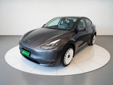 Tesla Model Y 2024 Tesla Model Y 2024 car image