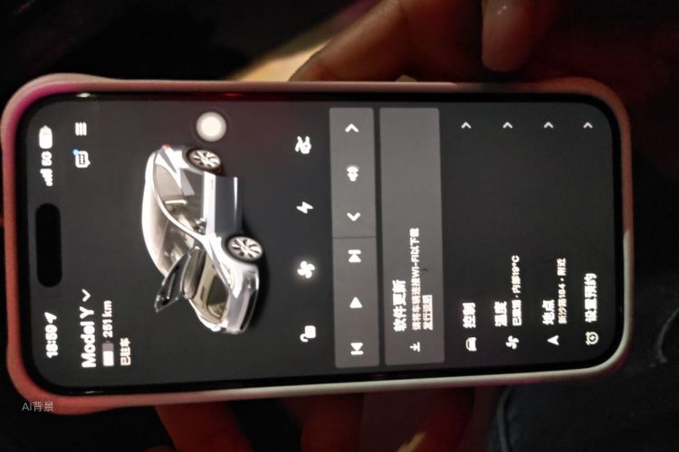 Tesla Model Y 2021 car image #10