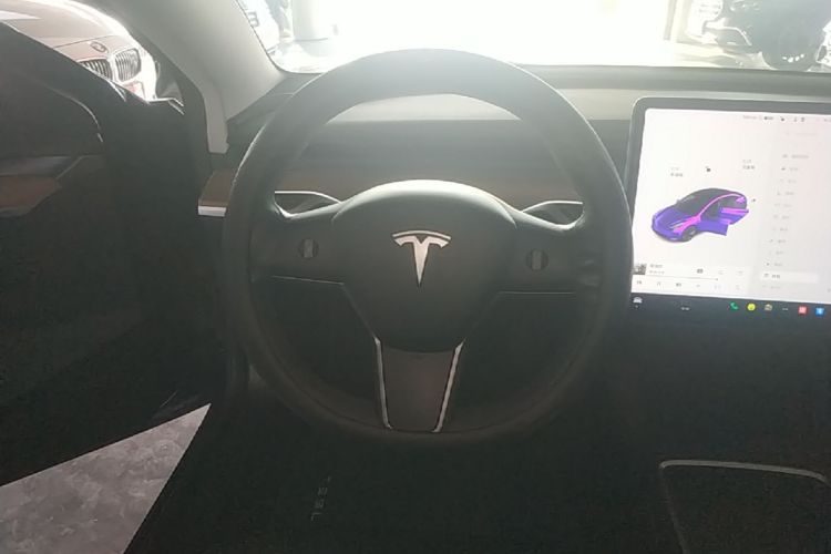 Tesla Model 3 2021 car image #11