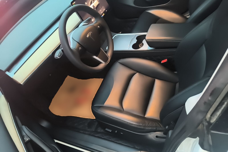 Tesla Model 3 2023 car image #19