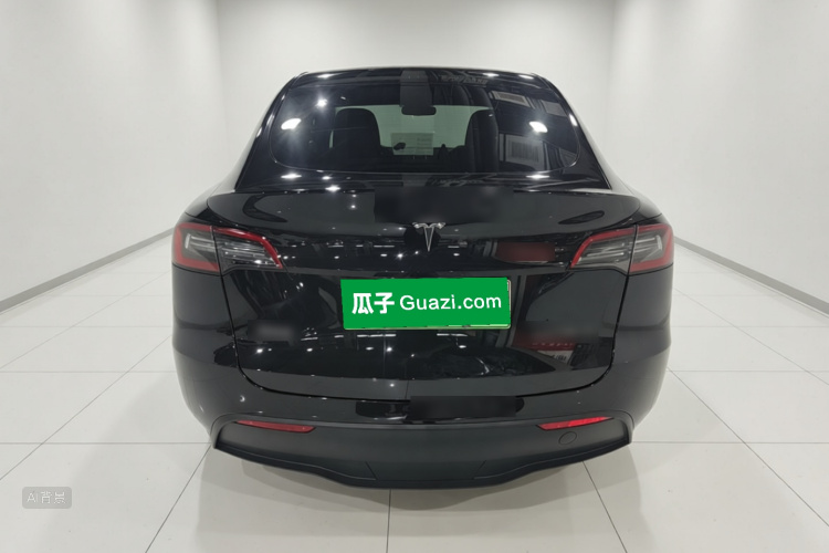 Tesla Model Y 2023 car image #6