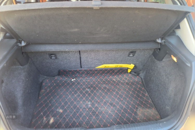 Volkswagen Polo 2015 car image #21