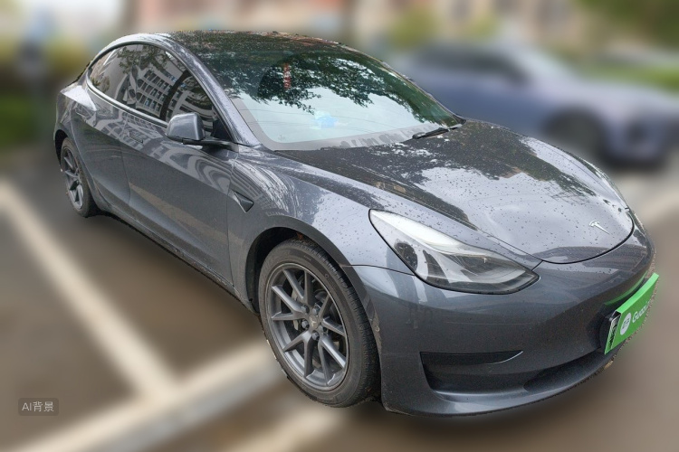 Tesla Model 3 2021 car image #4