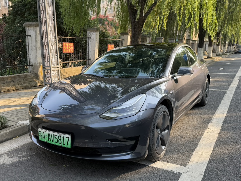 Tesla Model 3 2020 imagen de coche 
