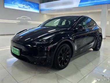 Tesla Model Y 2022 Tesla Model Y 2022 car image