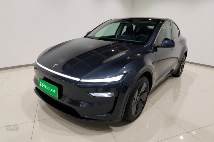 Tesla Model Y 2025 car image #2