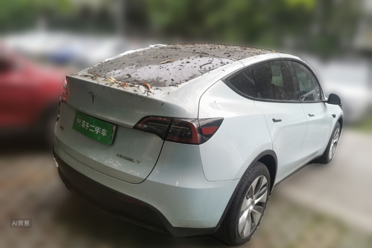 Tesla Model Y 2022 car image #7