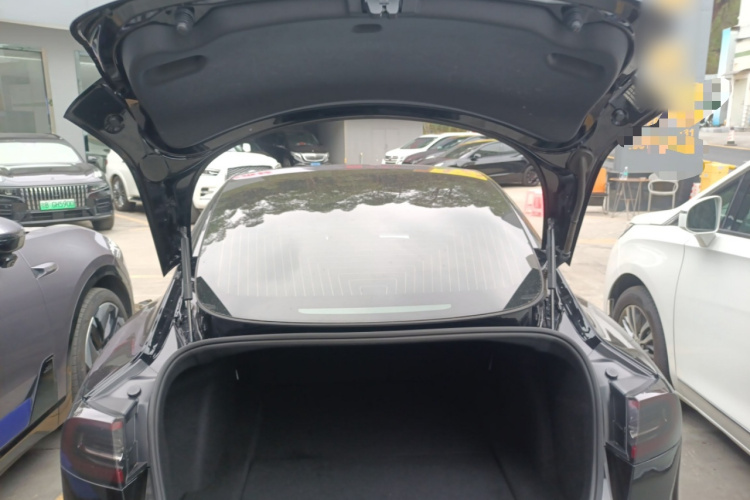 Tesla Model 3 2020 car image #21