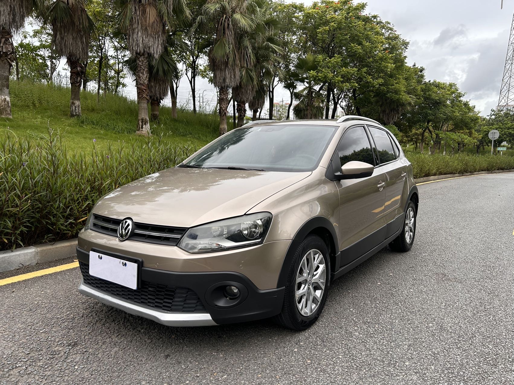Volkswagen Polo 2014 car image 