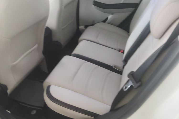 BYD Yuan Pro 2021 car image #17
