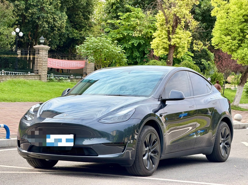 Tesla Model Y 2025 car image 