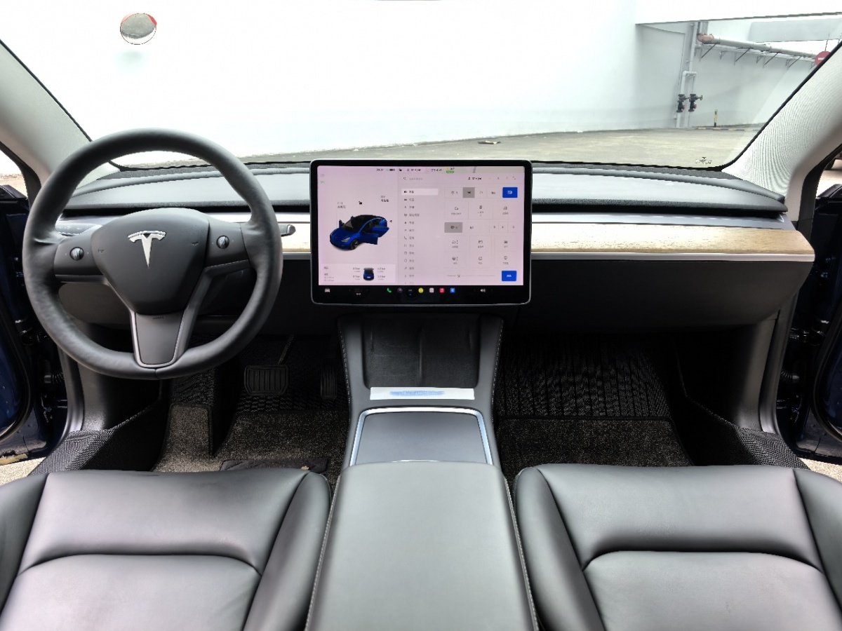 Tesla Model 3 2021 car image #6