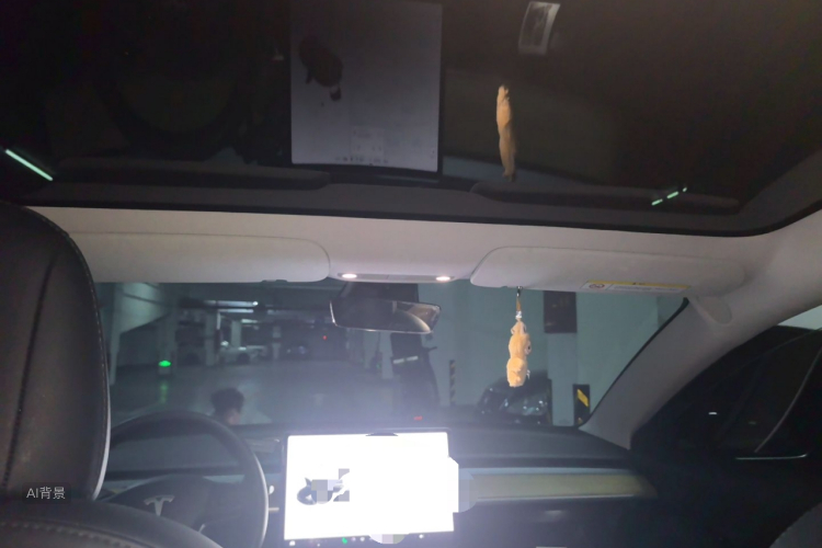 Tesla Model 3 2020 car image #20