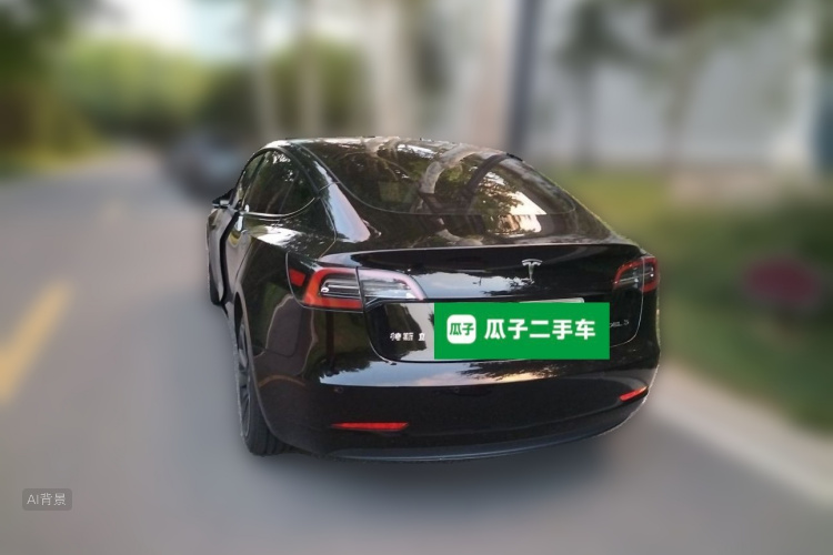 Tesla Model 3 2021 #5 Tesla Model 3 2021 car image #5