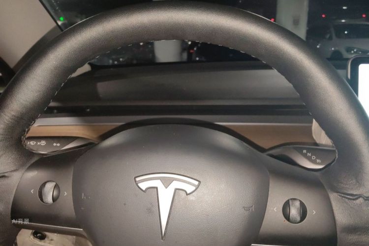 Tesla Model Y 2021 immagine di auto #13