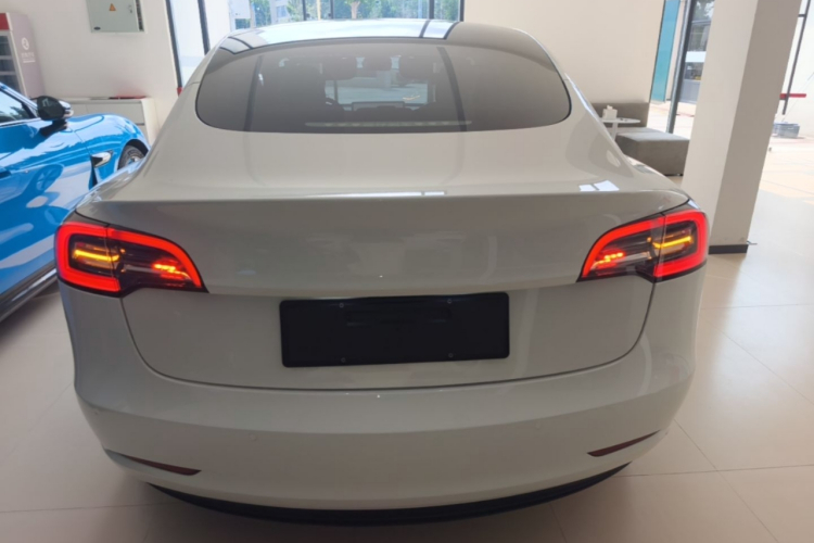 Tesla Model 3 2023 #6 Tesla Model 3 2023 car image #6