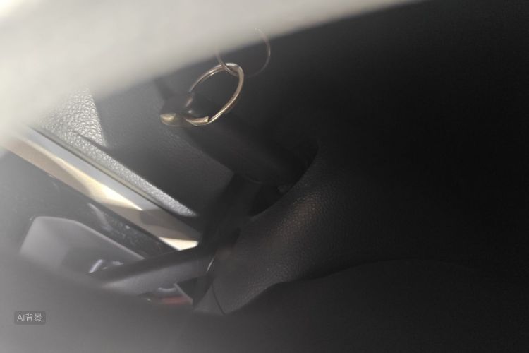 Volkswagen Polo 2021 car image #10