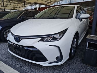 Toyota Corolla 2021 Toyota Corolla 2021 car image