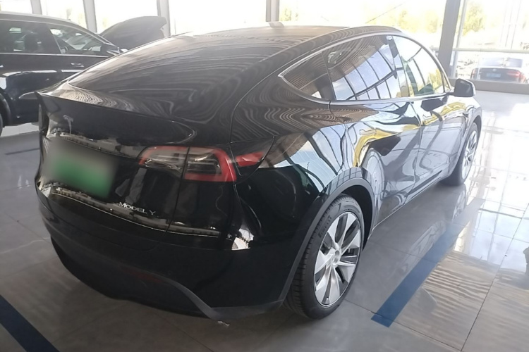 Tesla Model Y 2023 car image #7