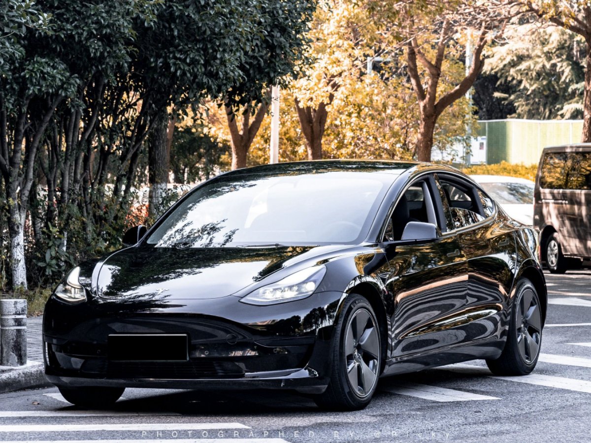 Tesla Model 3 2022 Tesla Model 3 2022 car image