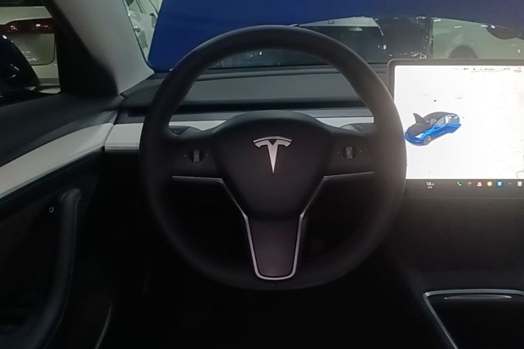 Tesla Model 3 2021 #11 Tesla Model 3 2021 car image #11