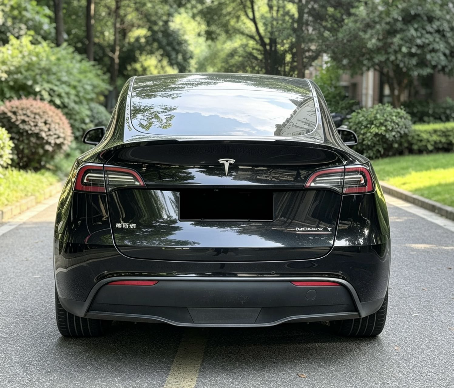 Tesla Model Y 2023 #8 Tesla Model Y 2023 car image #8