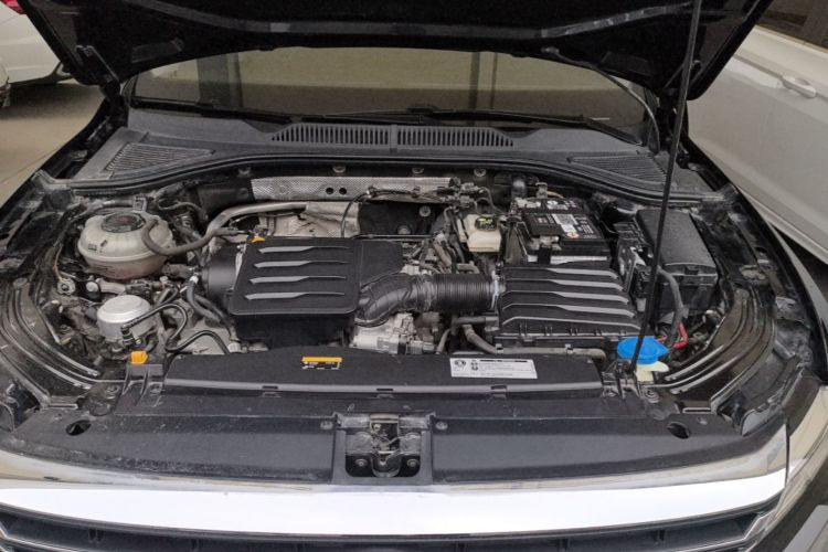 Volkswagen Lavida 2021 car image #20