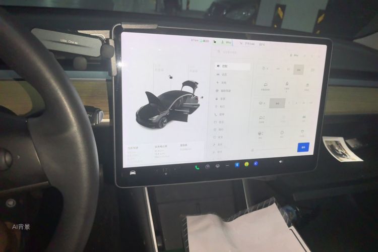Tesla Model 3 2020 car image #15