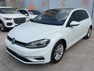 Volkswagen Golf 2019 car image 