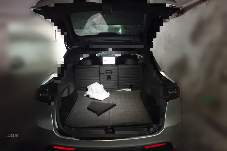 Tesla Model Y 2022 car image #21
