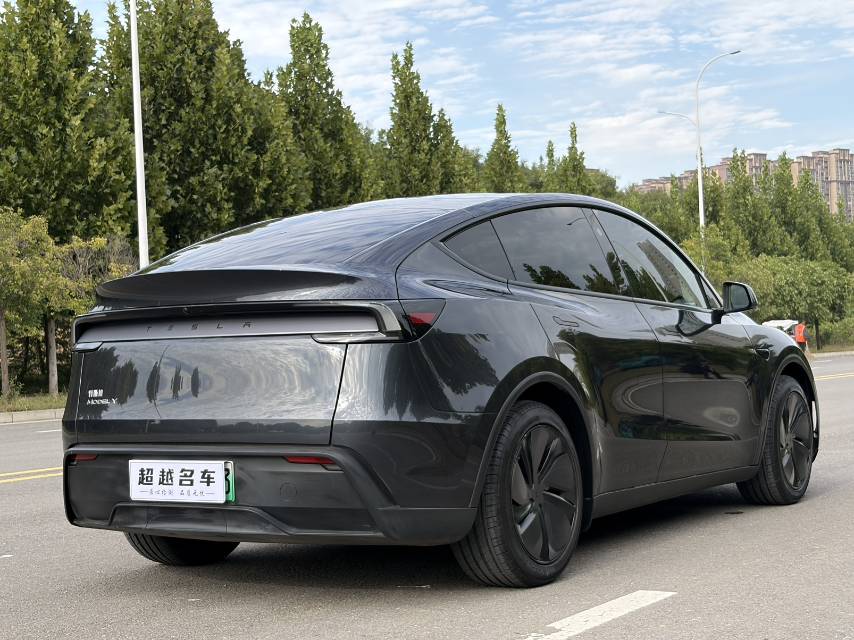 Tesla Model Y 2025 car image #9