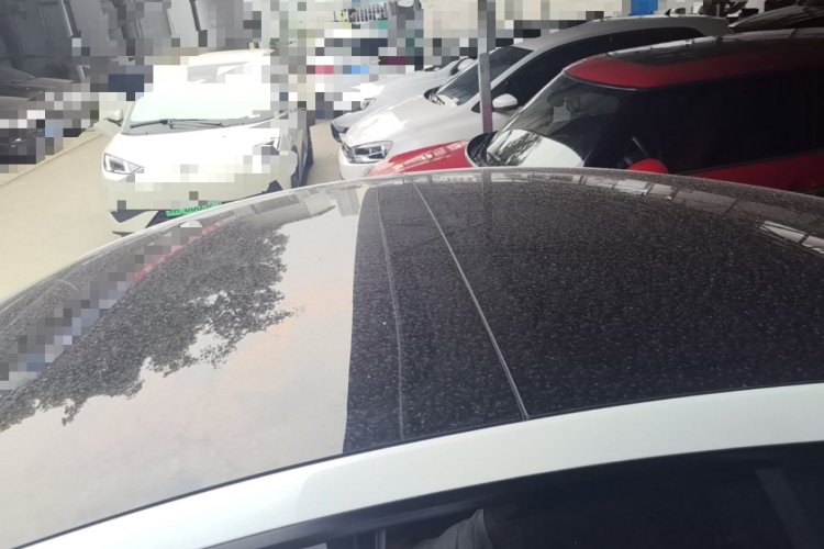 Tesla Model 3 2021 #25 Tesla Model 3 2021 car image #25