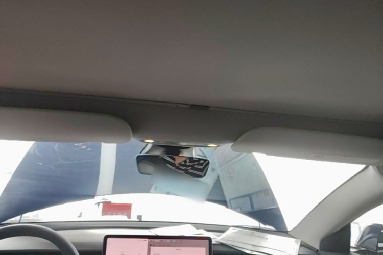 Tesla Model 3 2021 car image #20