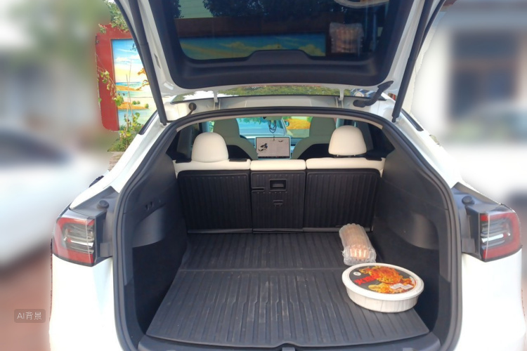 Tesla Model Y 2023 car image #21