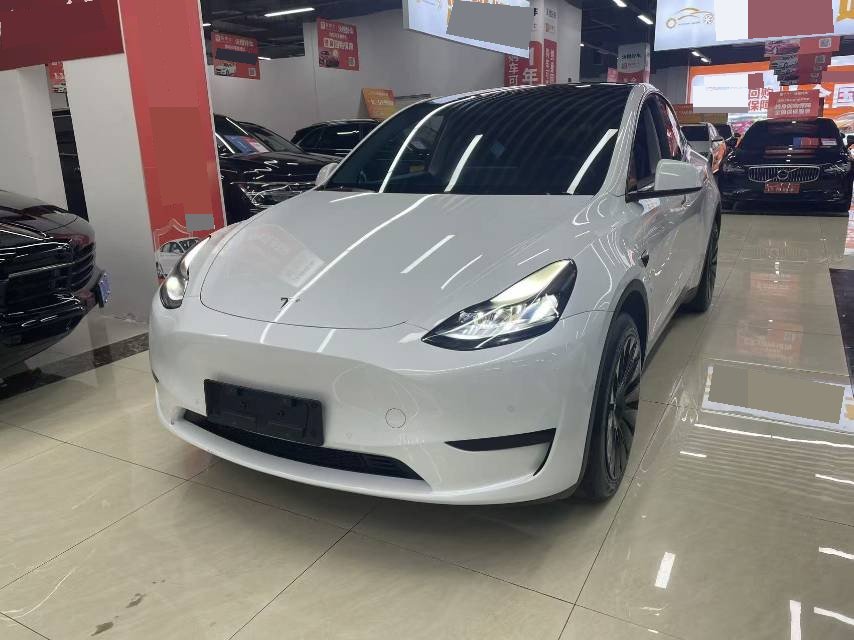 Tesla Model Y 2023 car image 