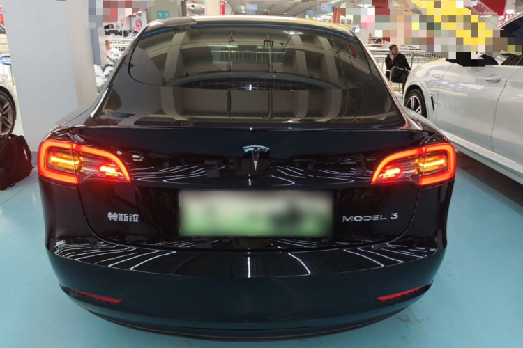 Tesla Model 3 2022 #6 Tesla Model 3 2022 car image #6
