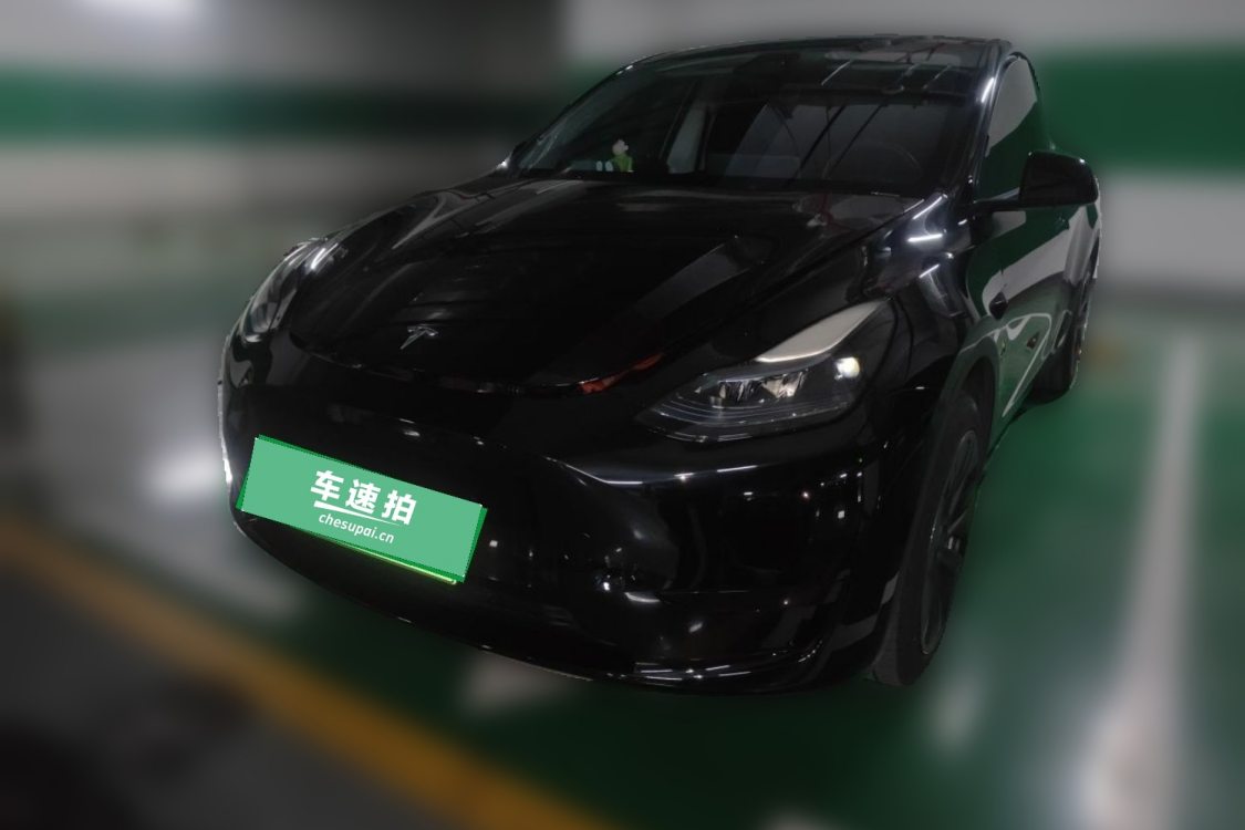 Tesla Model Y 2024 Tesla Model Y 2024 car image