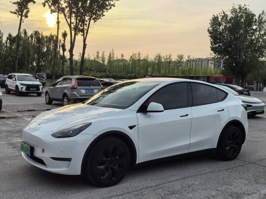 Tesla Model Y 2023 car image 