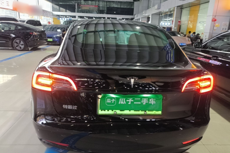 Tesla Model 3 2022 #6 Tesla Model 3 2022 car image #6