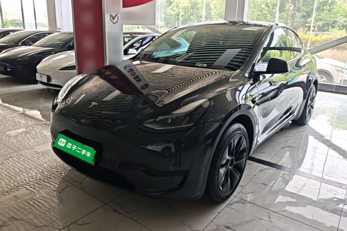 Tesla Model Y 2024 Tesla Model Y 2024 car image