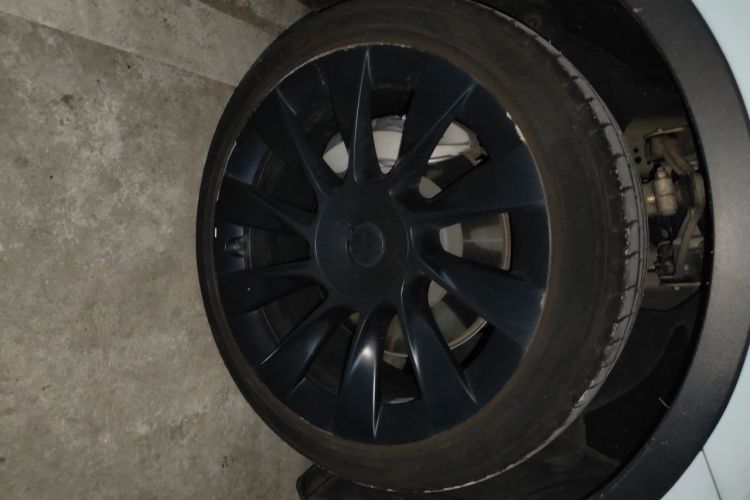 Tesla Model Y 2022 #6 Tesla Model Y 2022 car image #6