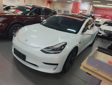 Tesla Model 3 2020 Tesla Model 3 2020 car image