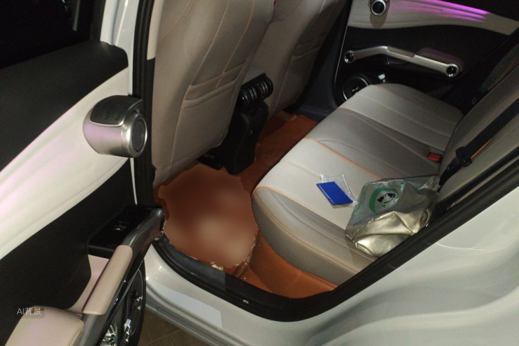 BYD Yuan Plus 2023 car image #19