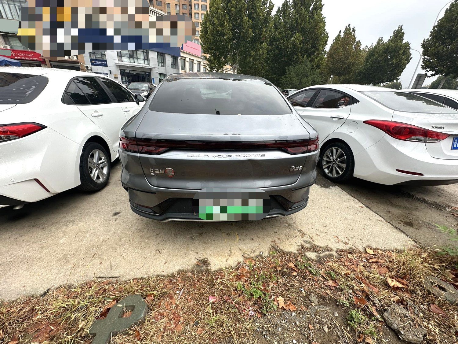 BYD Han 2024 #8 BYD Han 2024 صورة سيارة #8