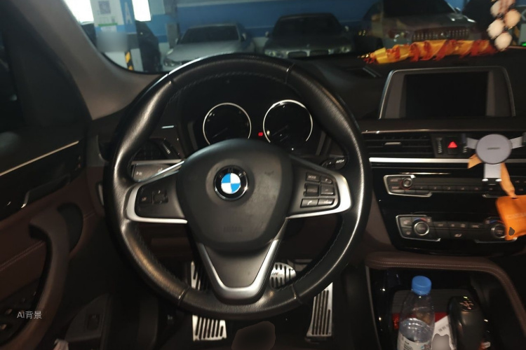 BMW X1 2019 car image #12
