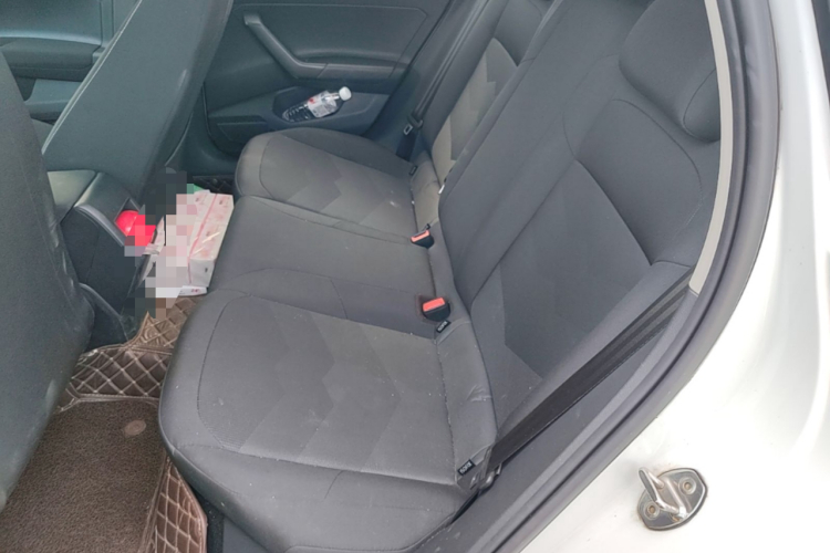 Volkswagen Polo 2019 car image #13