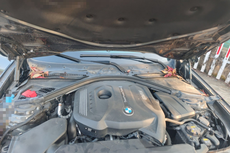 宝马 宝马3系GT 2019 汽车图片 #22