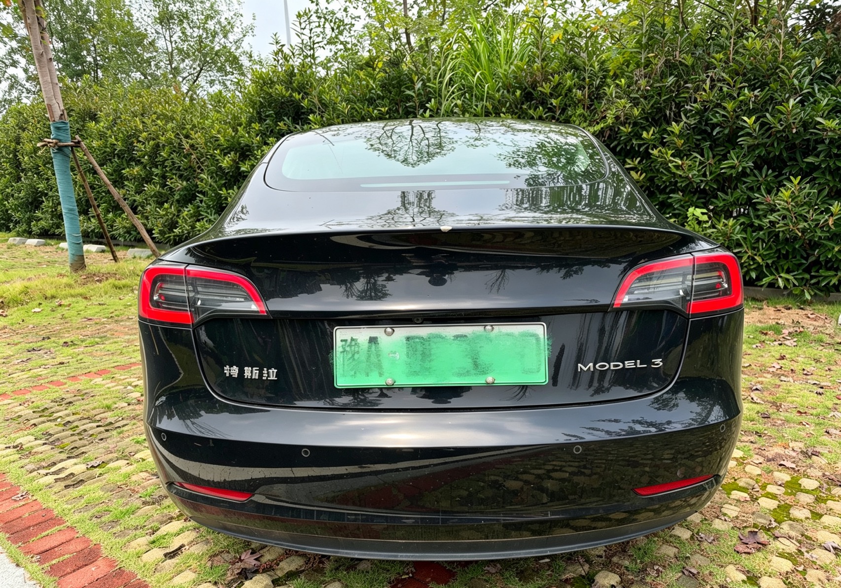 Tesla Model 3 2022 car image #3