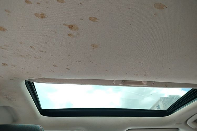 Toyota Corolla 2023 car image #20