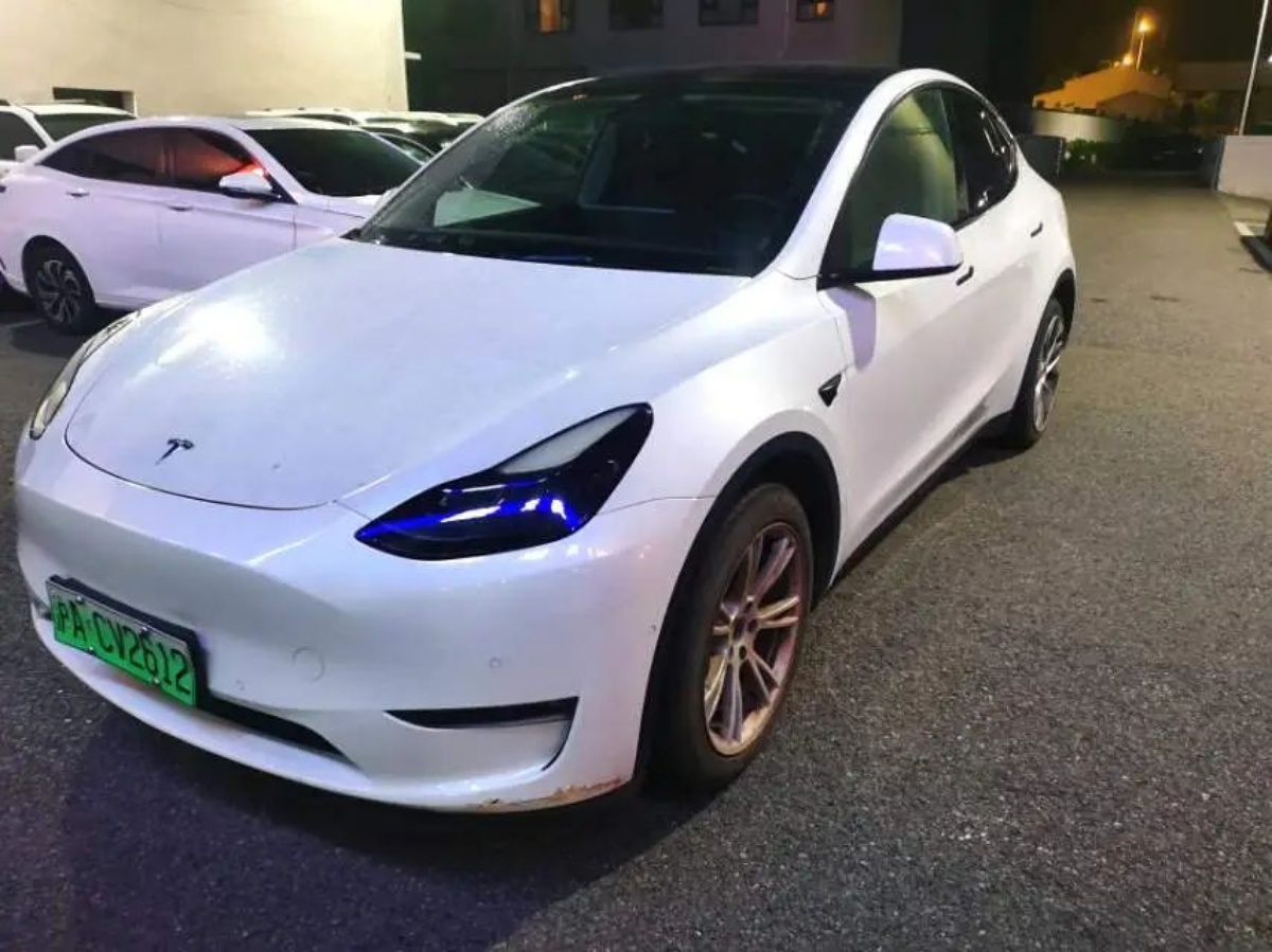 Tesla Model Y 2022 Tesla Model Y 2022 car image